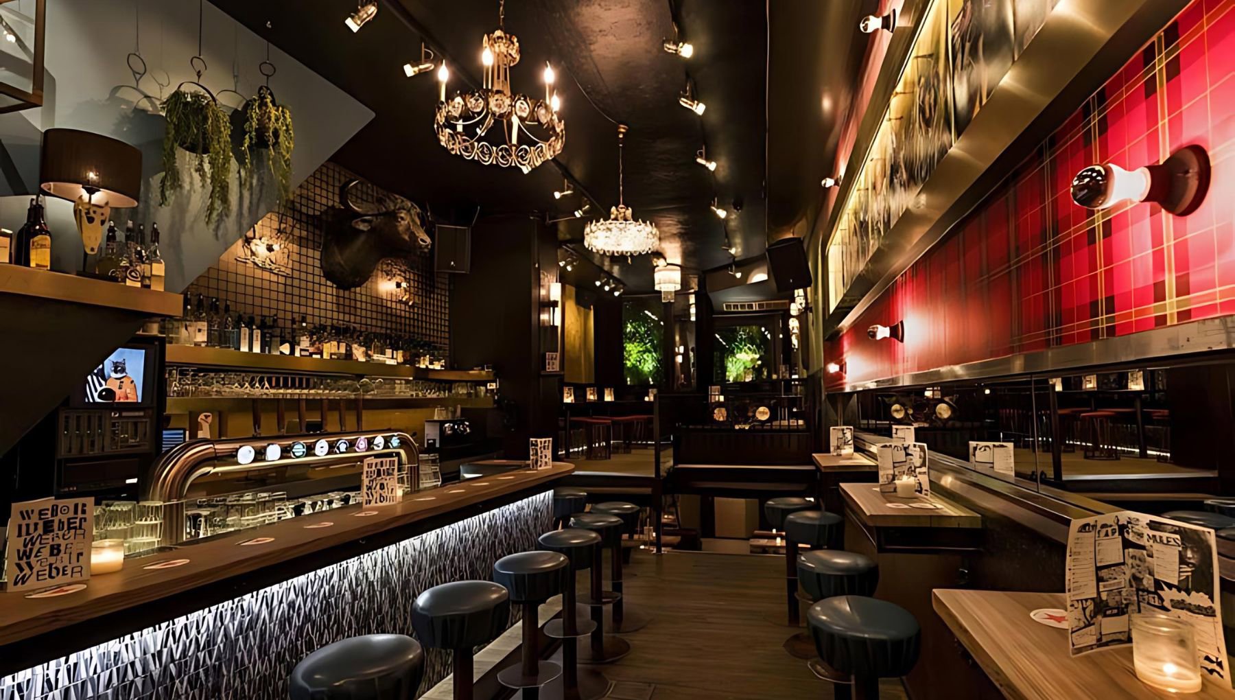 CAFE_WEBER_AMSTERDAM_NIGHTLIFE_02
