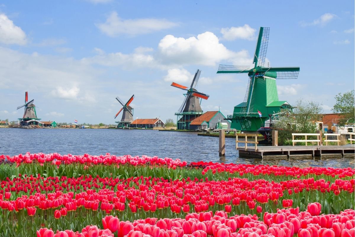 things-to-do-in-amsterdam (4)