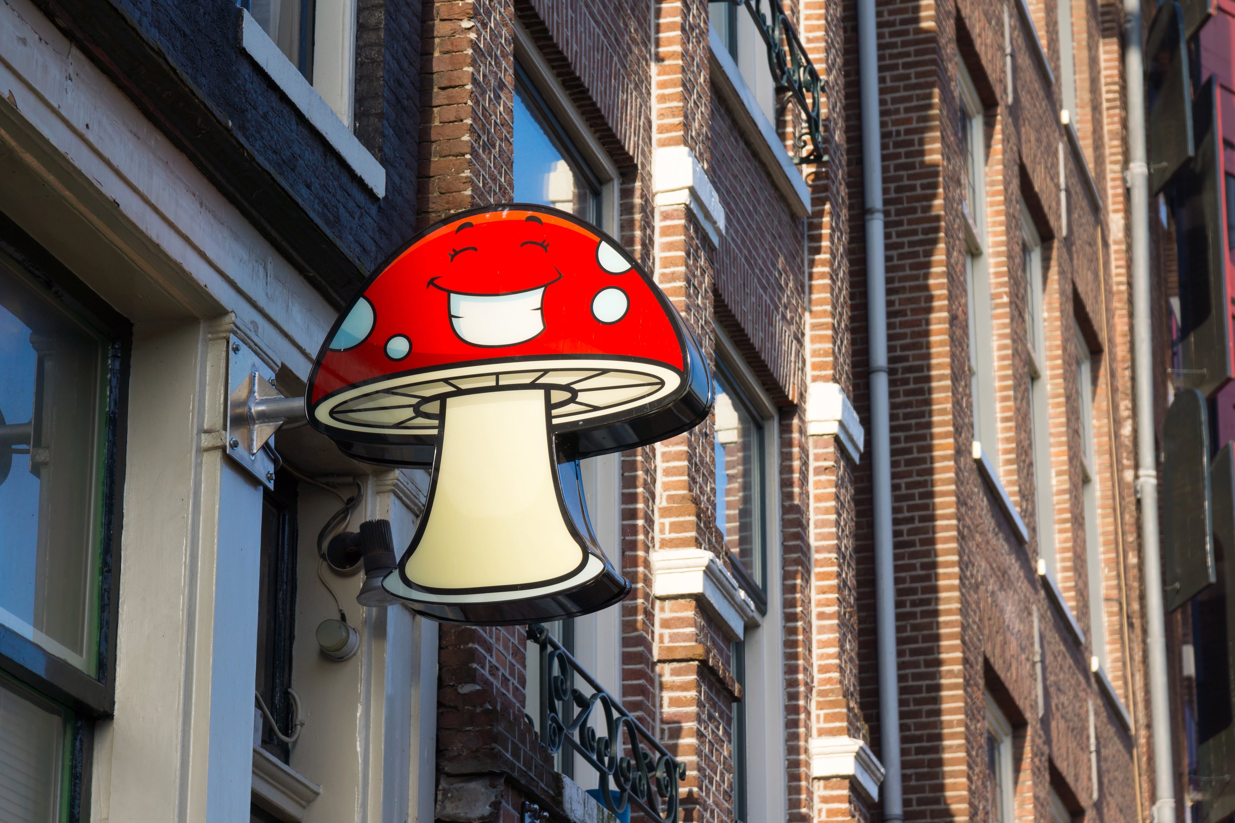 experience-amsterdam-with-magic-truffles