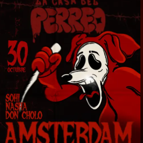 LA CASA DEL PERRO