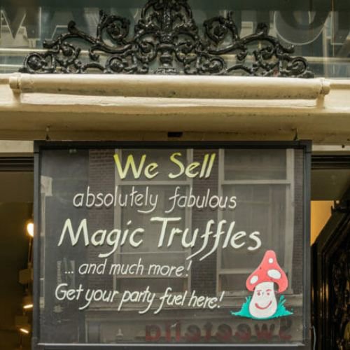 experience-amsterdam-with-magic-truffles