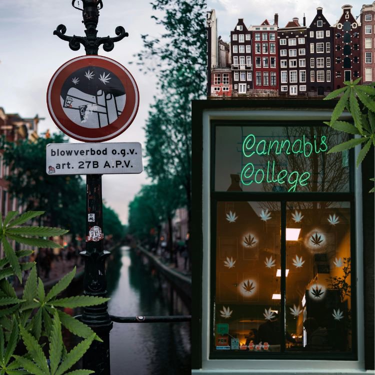 coffeeshops-in-amsterdam