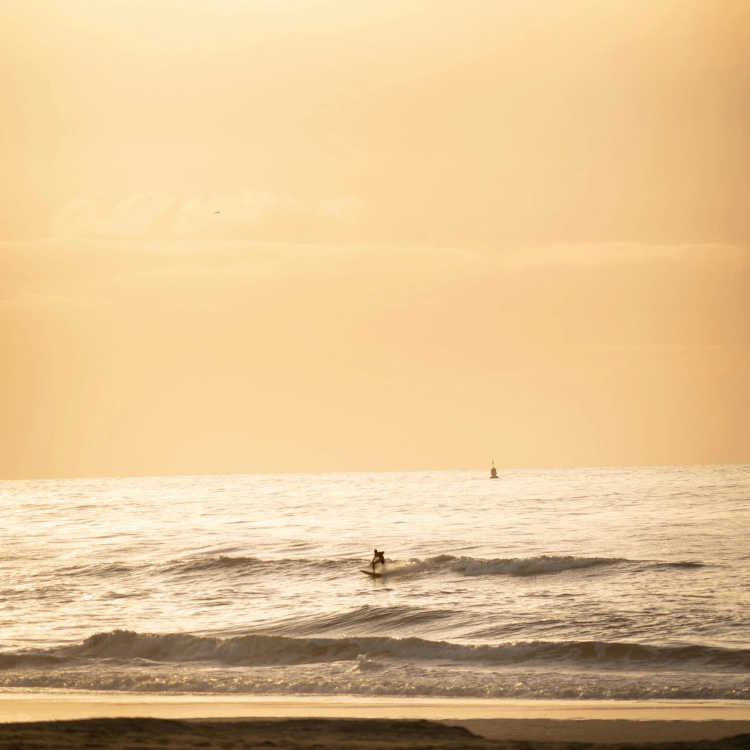 amsterdam-best-beaches-thumbnail