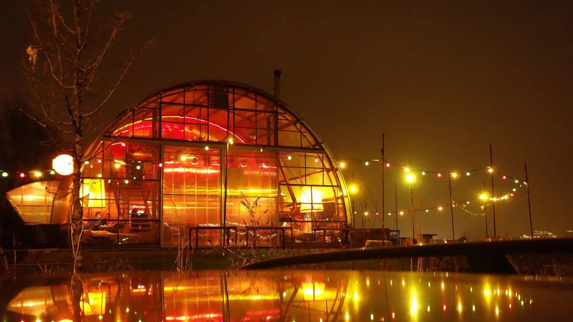 noorderlicht-cafe-amsterdam-party