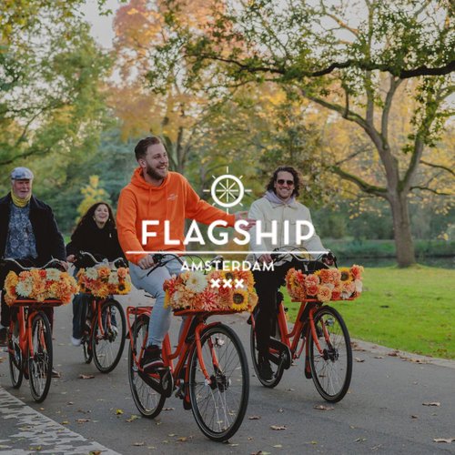 flagship bikes 2