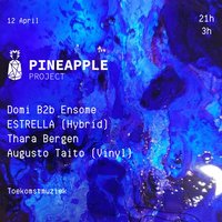 TOEKOMSTMUZIEK pineapple project